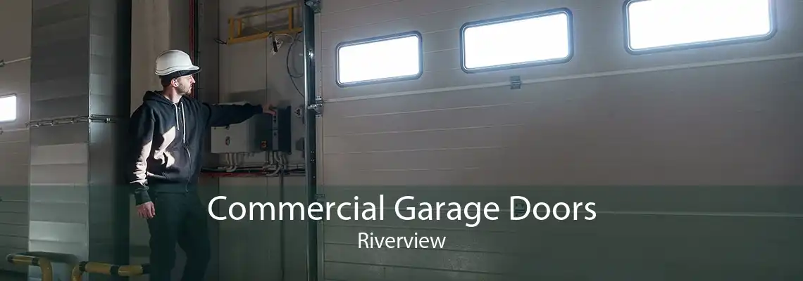 Commercial Garage Doors Riverview