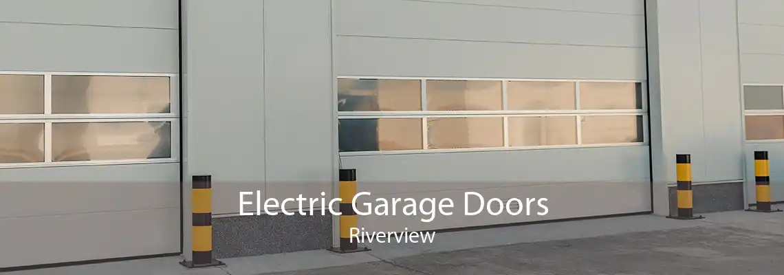 Electric Garage Doors Riverview