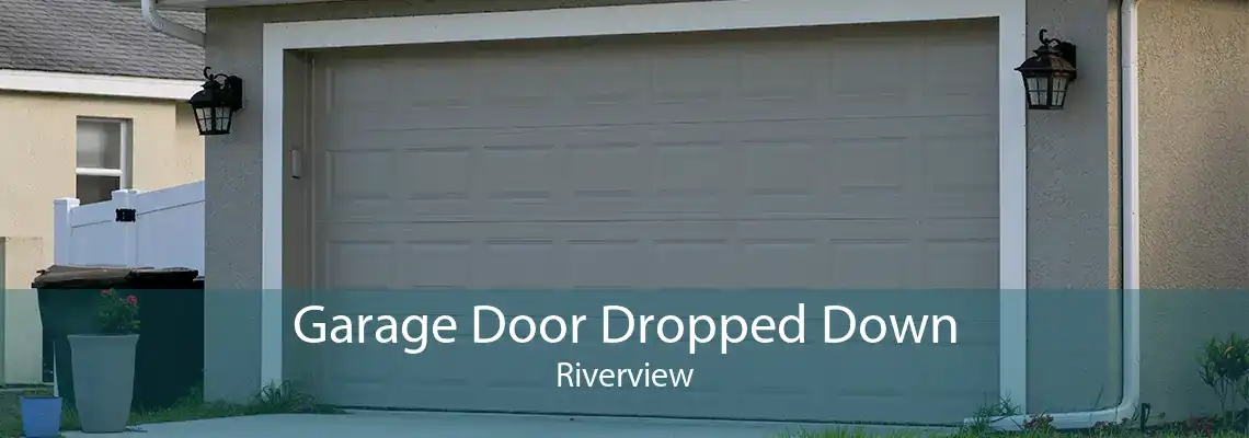 Garage Door Dropped Down Riverview