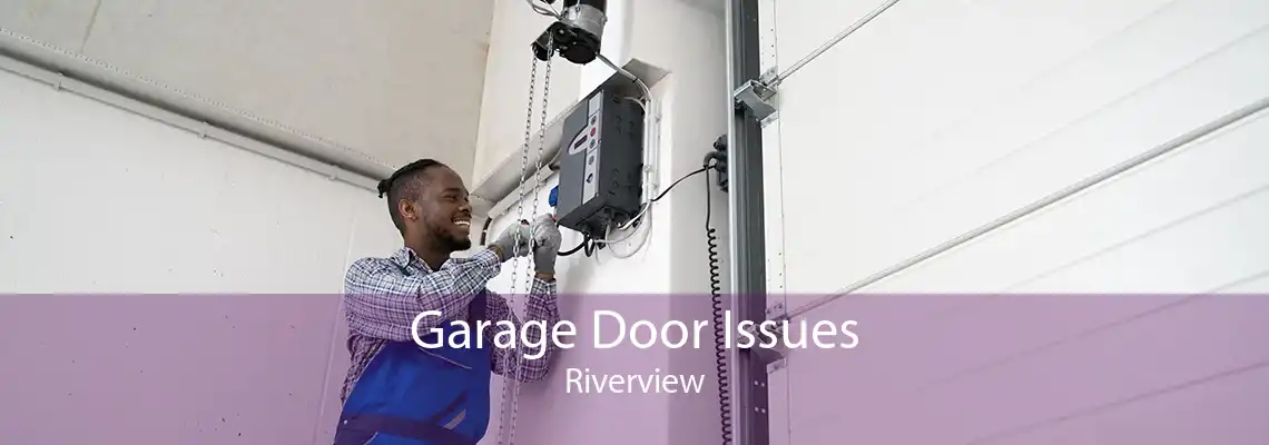 Garage Door Issues Riverview