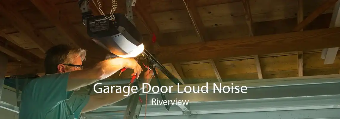 Garage Door Loud Noise Riverview