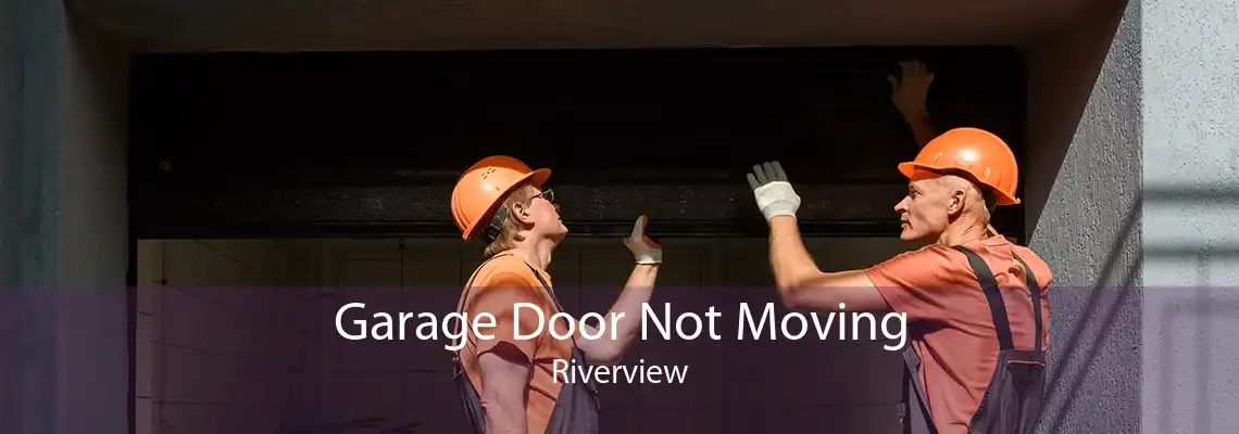 Garage Door Not Moving Riverview