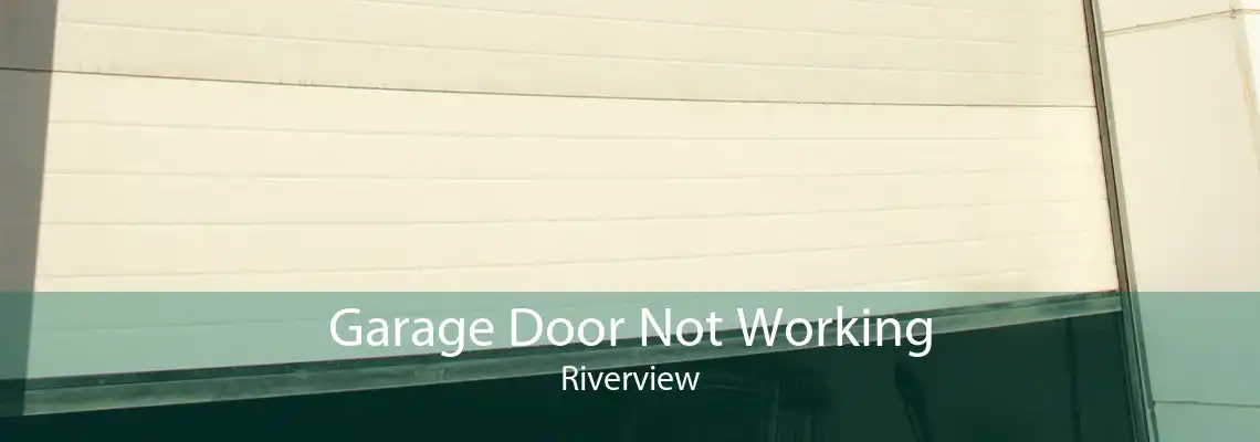 Garage Door Not Working Riverview