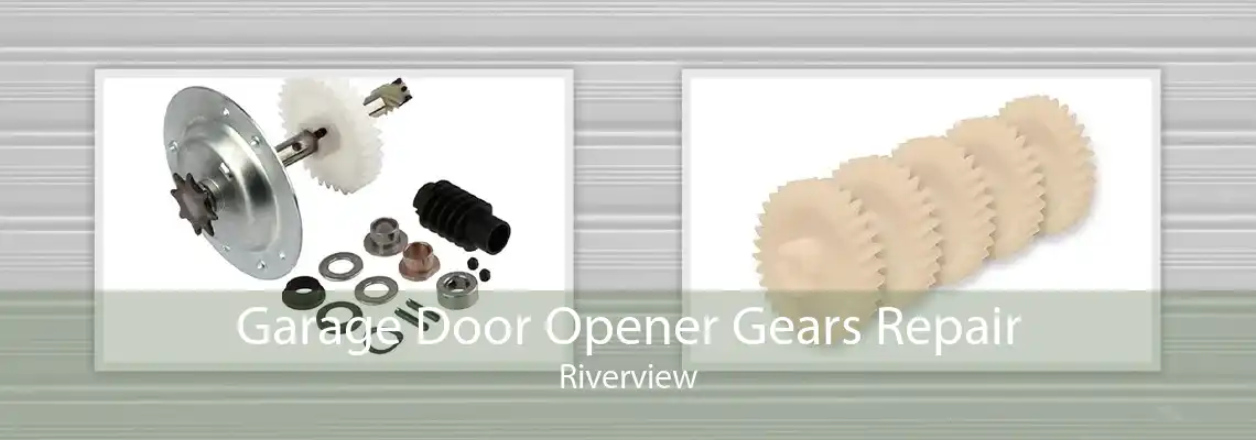 Garage Door Opener Gears Repair Riverview