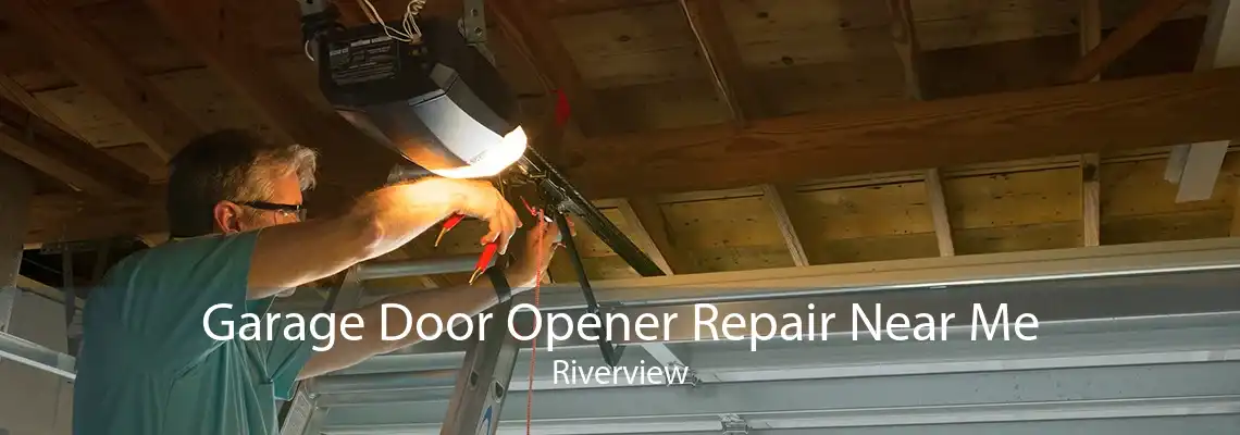 Garage Door Opener Repair Near Me Riverview