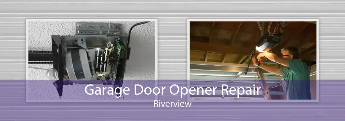 Garage Door Opener Repair Riverview