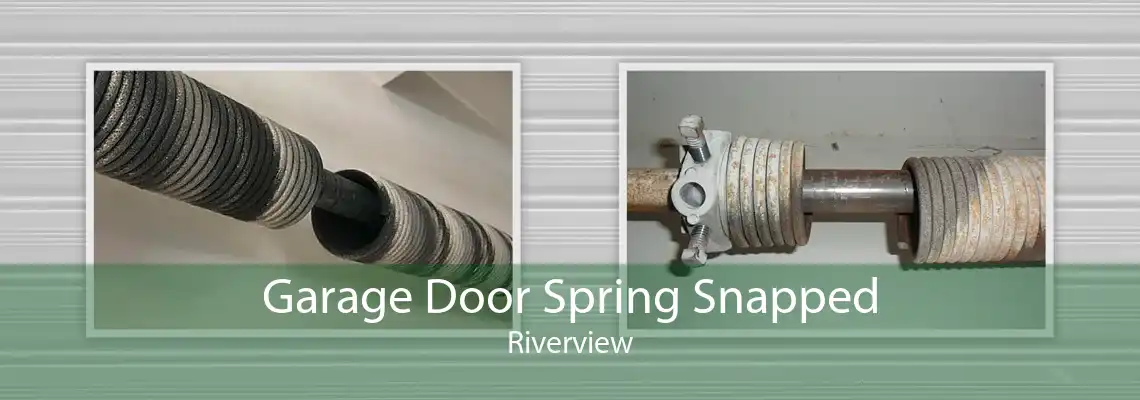 Garage Door Spring Snapped Riverview