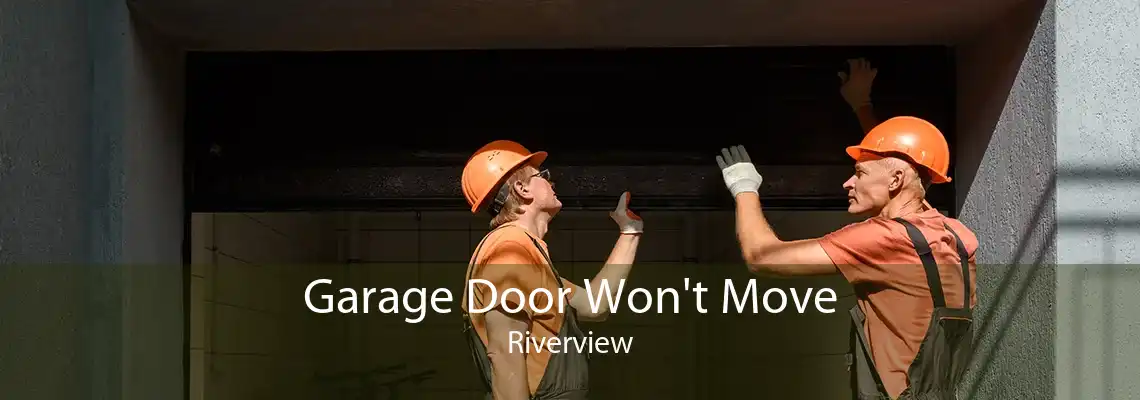 Garage Door Won't Move Riverview