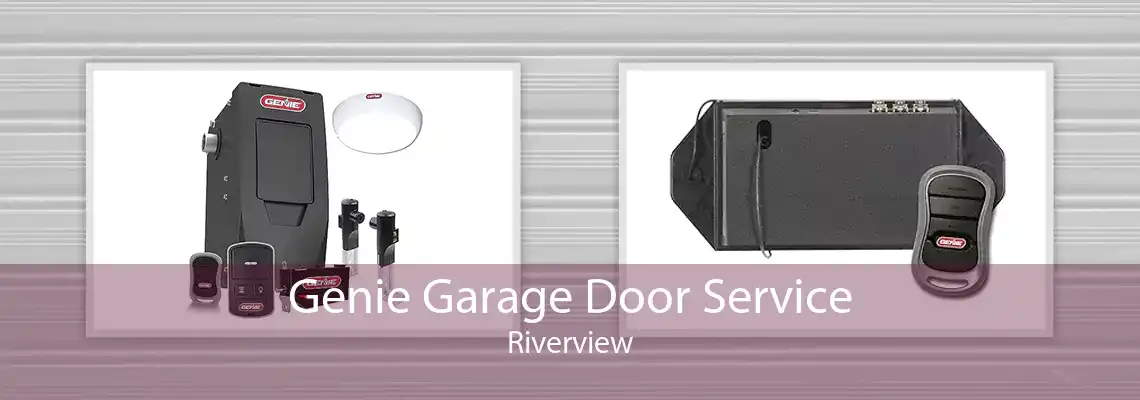 Genie Garage Door Service Riverview
