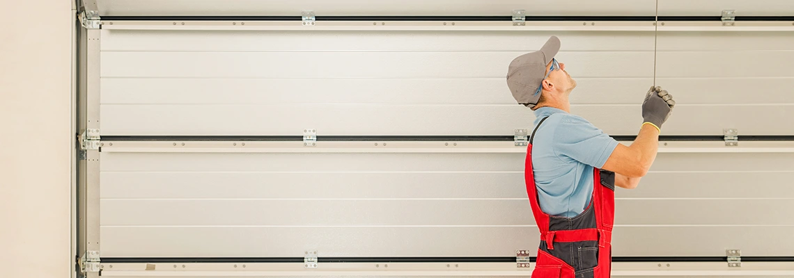 Automatic Sectional Garage Doors Services in Riverview