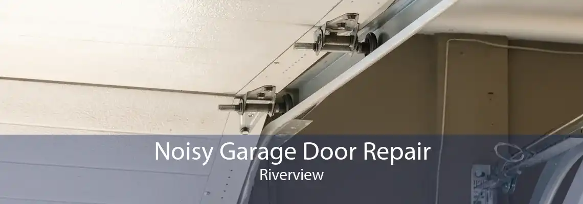 Noisy Garage Door Repair Riverview