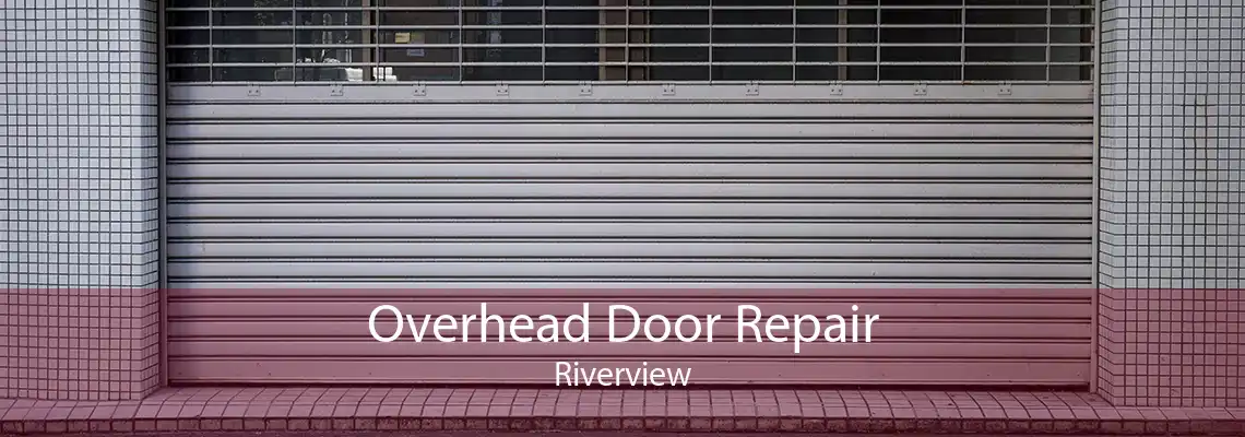 Overhead Door Repair Riverview
