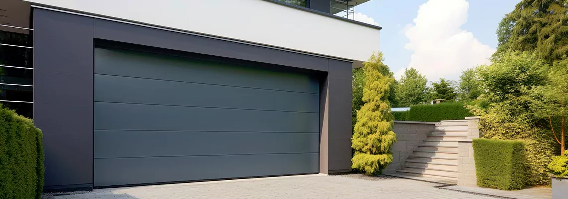 Haas Galvanized Steel Garage Door in Riverview