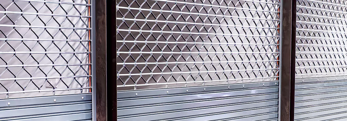 Rolling Grille Door Replacement in Riverview, FL